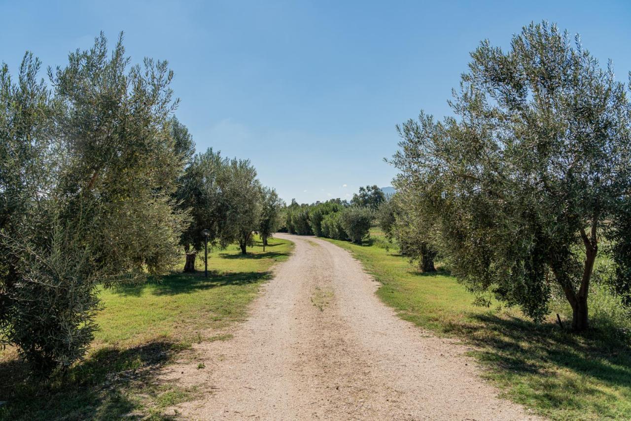 Su Cannonariu Appartement